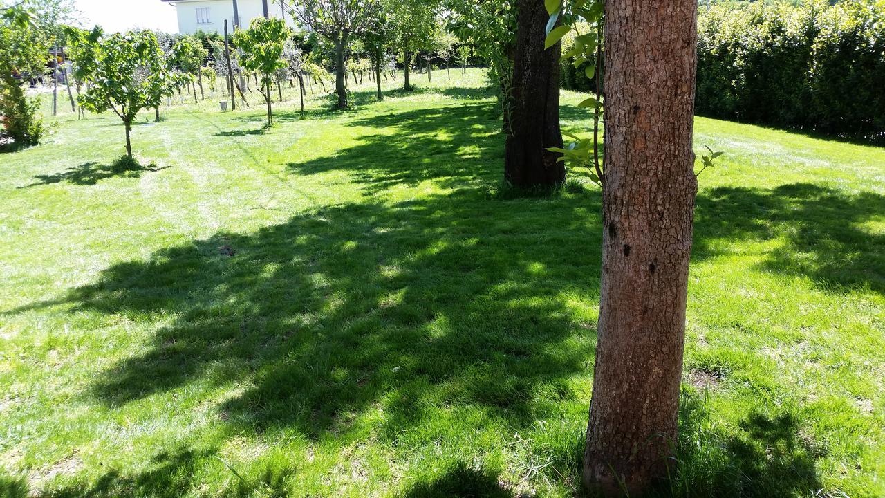 B&B Maison La Coccola Пескьера-дель-Гарда Экстерьер фото